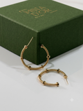 Wired Hoops