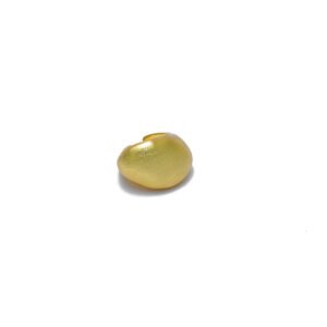 Product photos 28